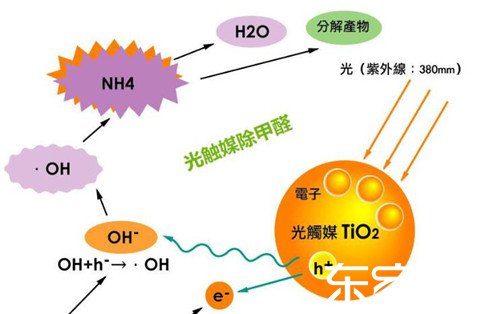 什么是光觸媒？光觸媒真的能去除室內(nèi)有害氣體嗎？